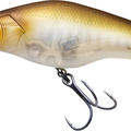 Matte Shad
