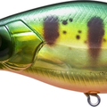 Perch
