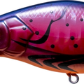 Red Crawfish