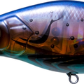 Translucent Brown Crawfish