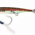 Damsefish