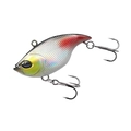 Color 4