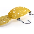 KRSG