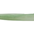 Pearl Green