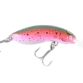 Rainbow Trout
