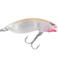 Jelly Prawn