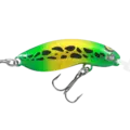Oz Frog