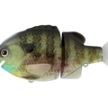 #01 Real Bluegill