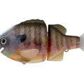#12 Natural Ghost Gill