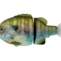 #02 Flash Baby Gill