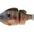 #12 Natural Ghost Gill