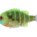 #17 Lime Back Gill