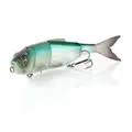 Ghost Minnow