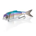 American Shad