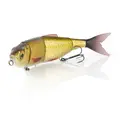 Gold Shad