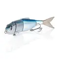 Sexy Baitfish