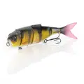 Yellow Perch
