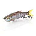 Ghost Gill