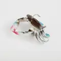 Blue Crab