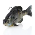 Ghost Gill
