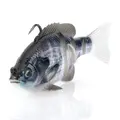 White Gill