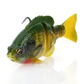 Vivid Gill