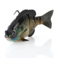 Bream