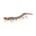 Rattle Snake
