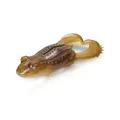 Tan Frog