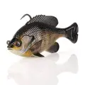 Bluegill