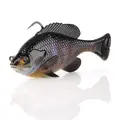Black Gill