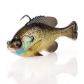Bream