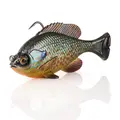 Pumpkinseed
