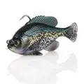 Crappie
