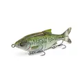 Baby Bass