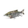 Bluegill