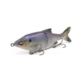 Purple Gizzard