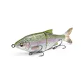 Rainbow Trout