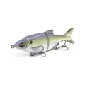 Sexy Shad
