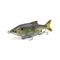 Threadfin
