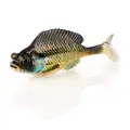 Bream