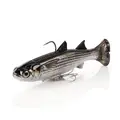 Silver Mullet