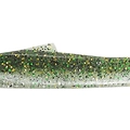 Ghost Minnow