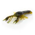 Watermelon Craw
