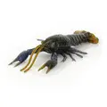 Magic Craw