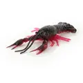 Red Craw