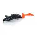 Black/Orange