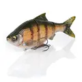 Walleye