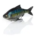 Sexy Shad