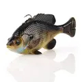 Bluegill
